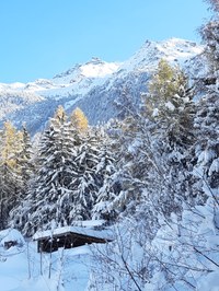 Vue depuis la maison