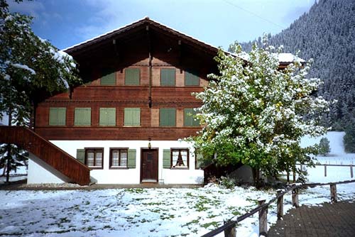 Lenk