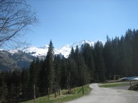Hiking - Wallegg